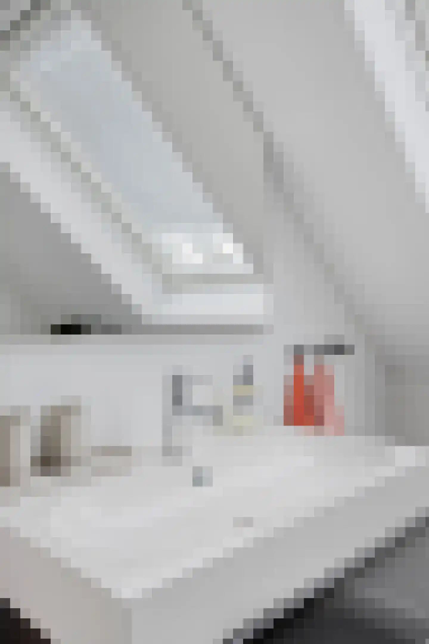 Magnolia 25 Brandwijk thumbnail 28