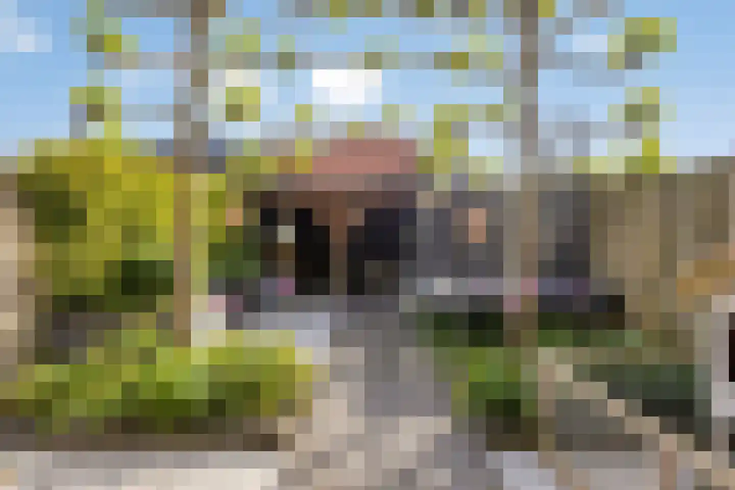 Magnolia 25 Brandwijk thumbnail 33