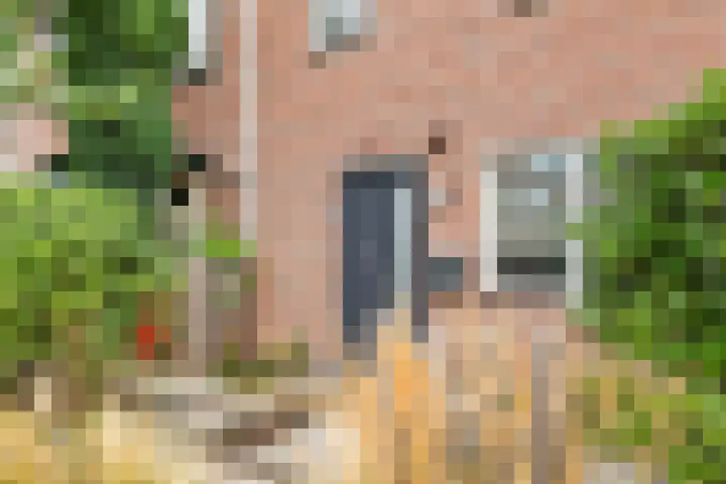 Magnolia 3 Veenendaal thumbnail 5