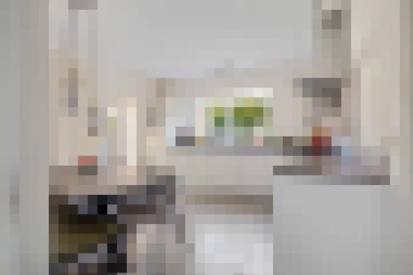 Magnolia 4 Halsteren thumbnail 12