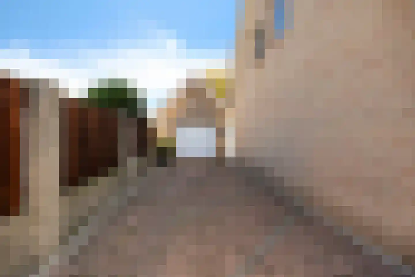 Magnolia 4 Halsteren thumbnail 4