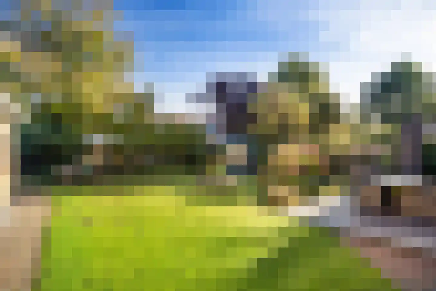 Magnolia 4 Halsteren thumbnail 41
