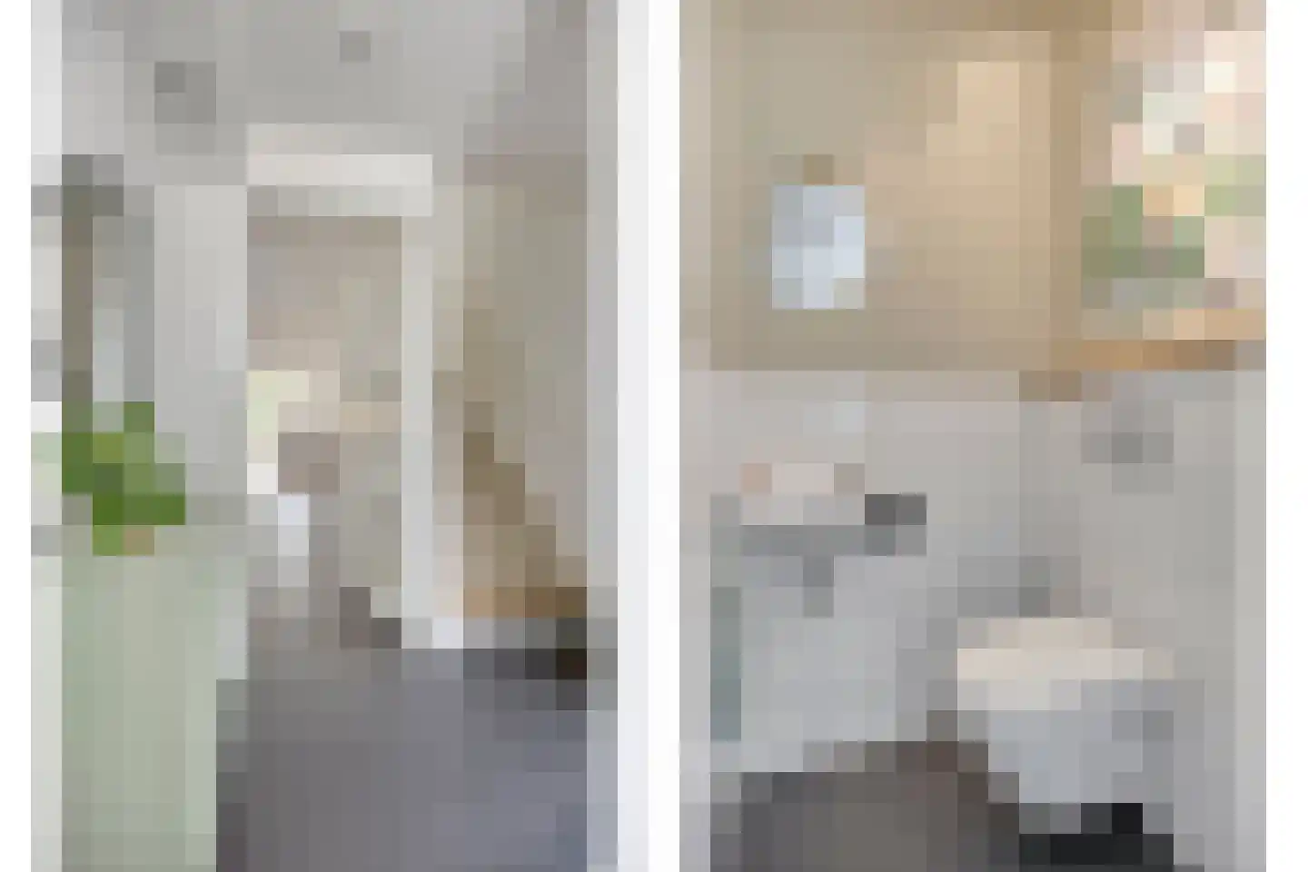 Magnolia 8 Cuijk thumbnail 12