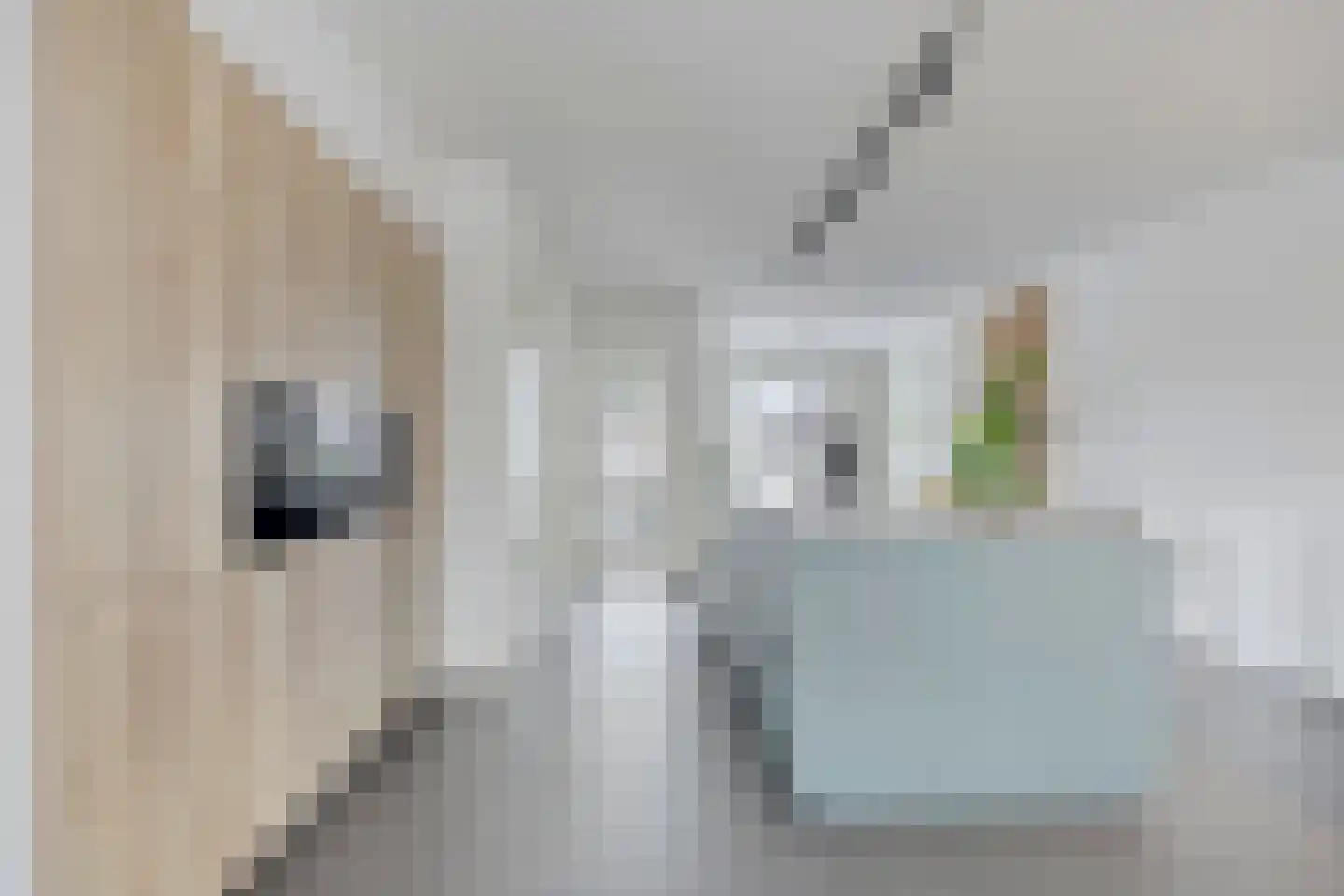 Magnolia 8 Cuijk thumbnail 19