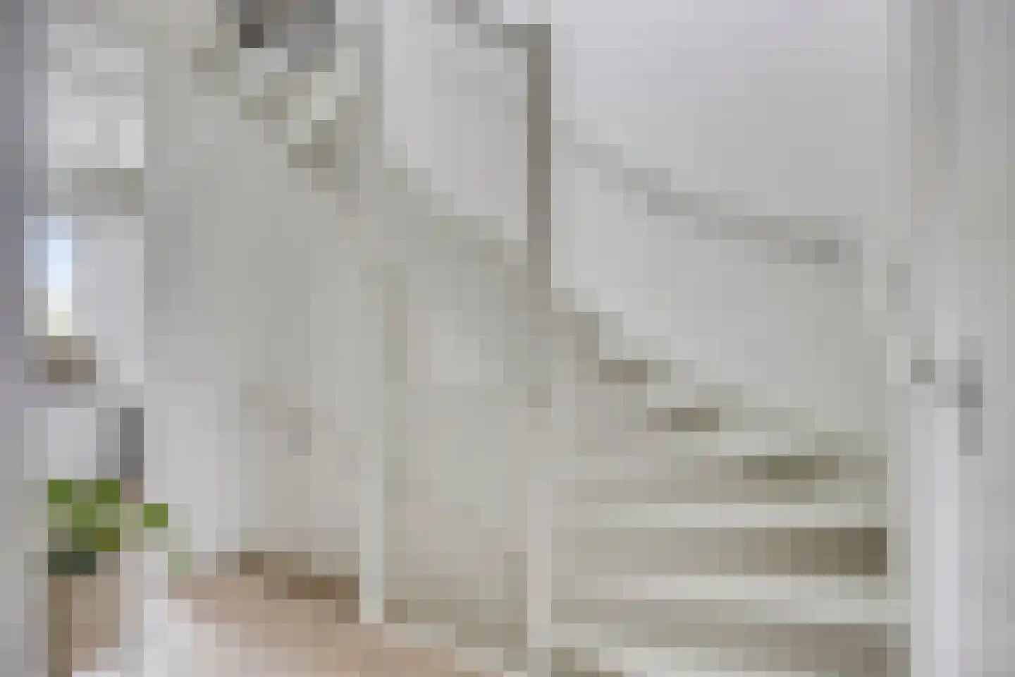 Magnolia 8 Cuijk thumbnail 35