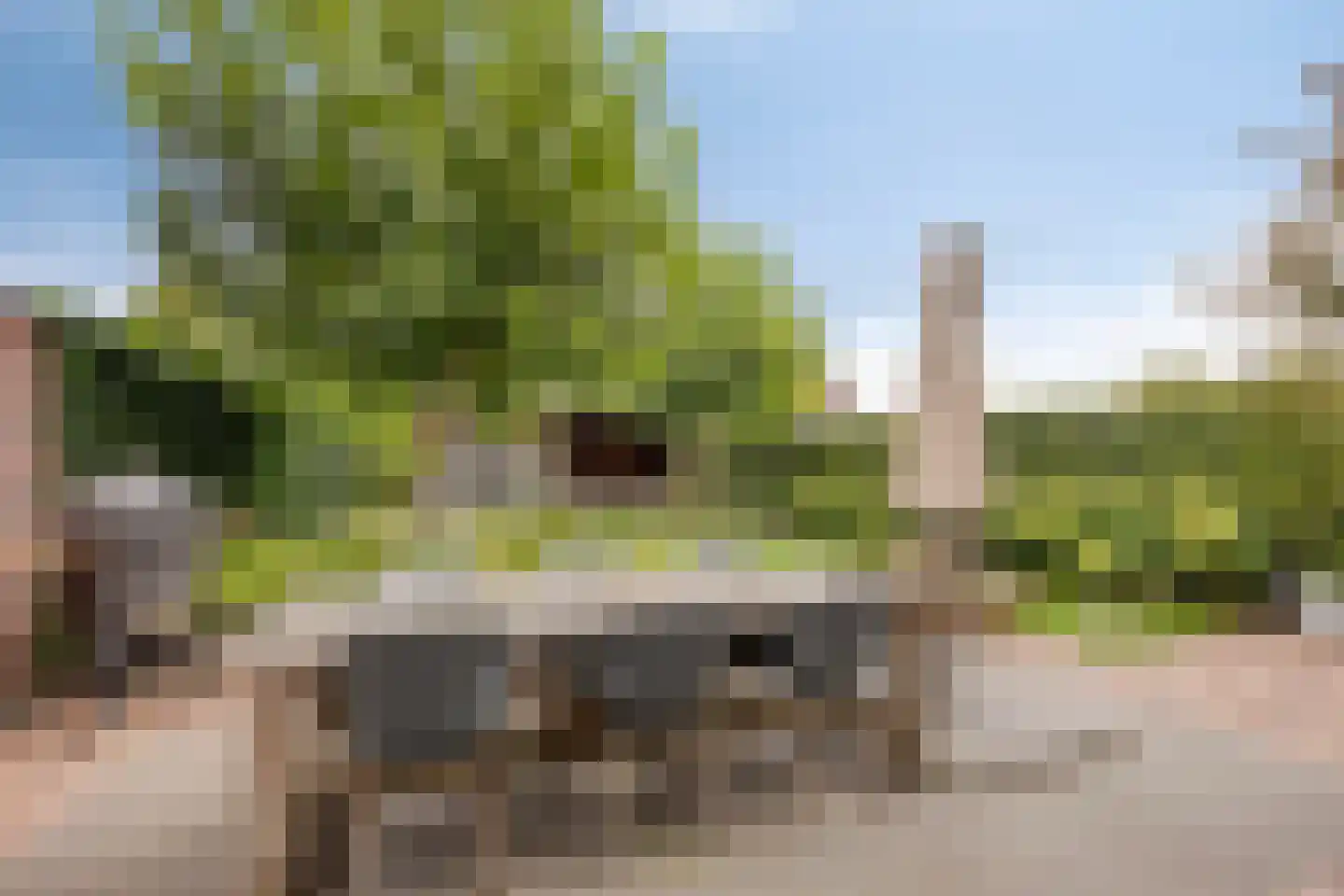 Magnolia 8 Cuijk thumbnail 43
