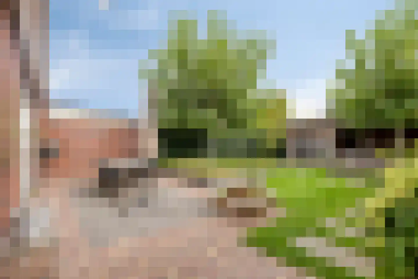 Magnolia 8 Cuijk thumbnail 44