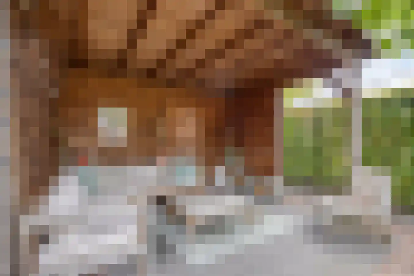 Magnolia 8 Cuijk thumbnail 46