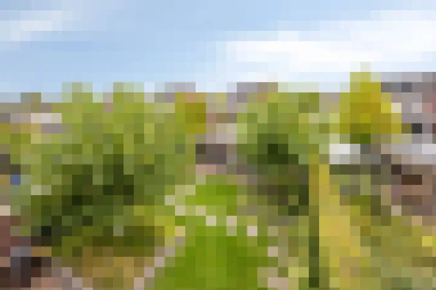 Magnolia 8 Cuijk thumbnail 47