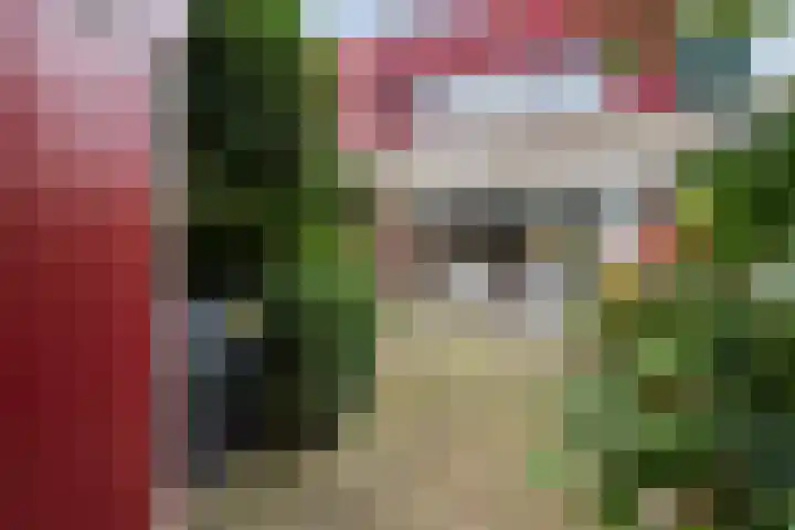 Magnoliadal 8 Leiden thumbnail 31