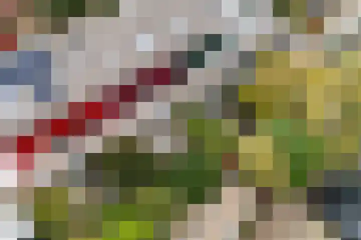 Magnoliadal 8 Leiden thumbnail 32