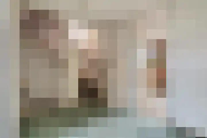 Magnoliadal 8 Leiden thumbnail 33