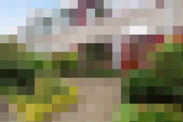 Magnoliadal 8 Leiden thumbnail 6