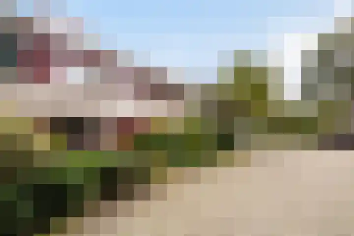 Magnoliadal 8 Leiden thumbnail 7