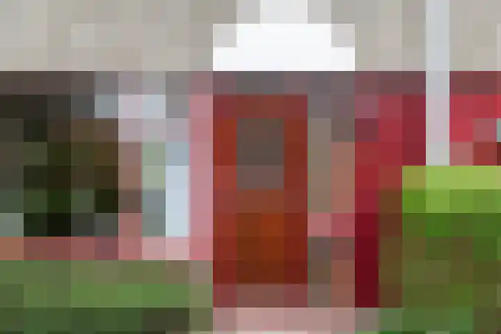 Magnoliadal 8 Leiden thumbnail 8