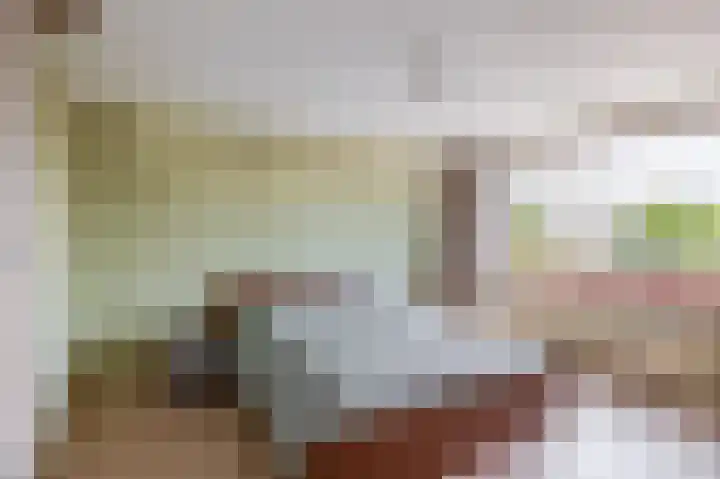 Magnoliadreef 16 Nootdorp thumbnail 24