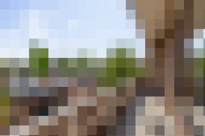 Magnoliadreef 16 Nootdorp thumbnail 26