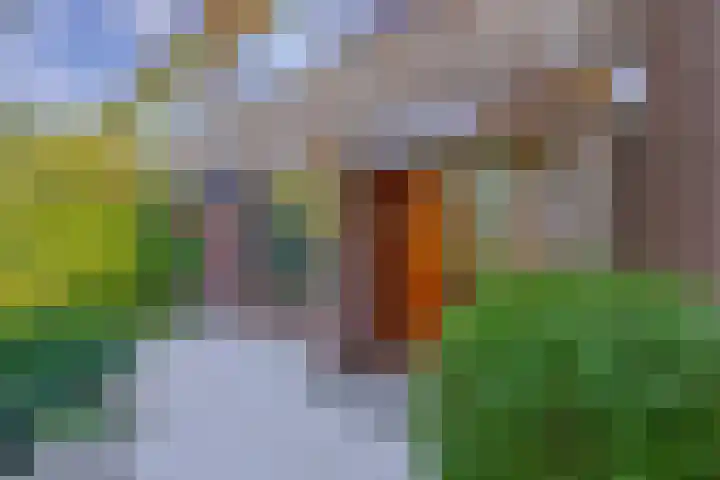 Magnoliadreef 16 Nootdorp thumbnail 6