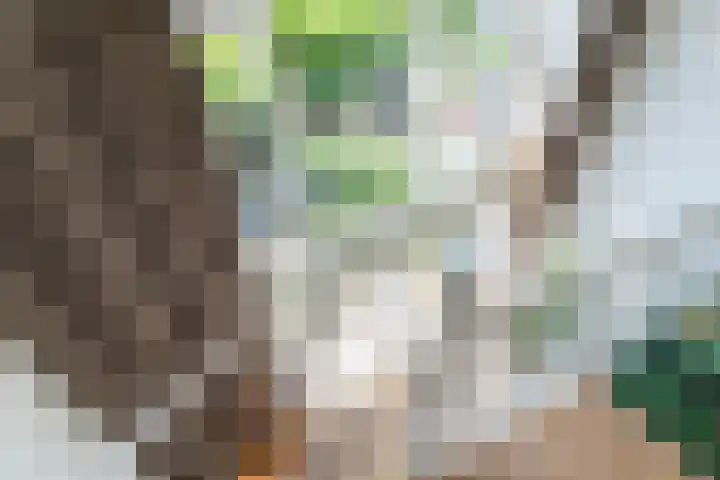 Magnoliaerf 24 Tilburg thumbnail 10