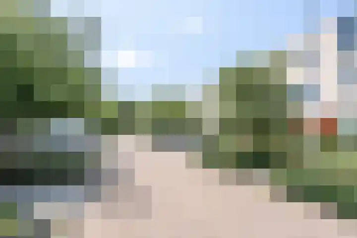 Magnoliaerf 24 Tilburg thumbnail 30