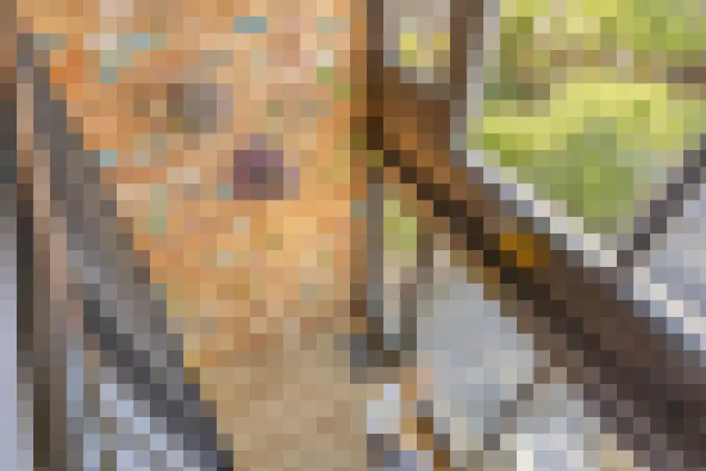 Magnoliaerf 26 Tilburg thumbnail 23