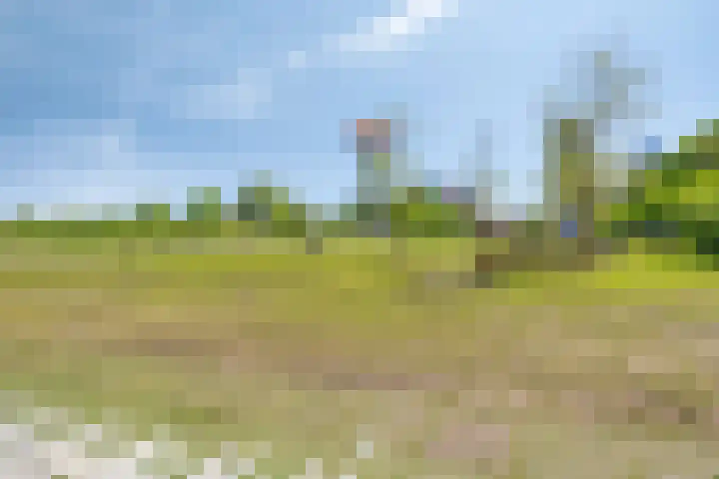 Magnoliaerf 26 Tilburg thumbnail 42