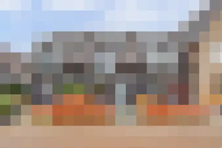 Magnoliaerf 27 Hoef en Haag thumbnail 4