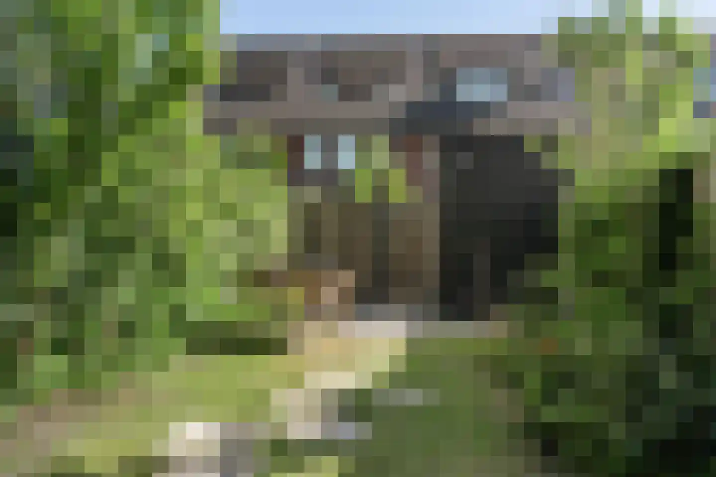 Magnoliaerf 3 Hoef en Haag thumbnail 33