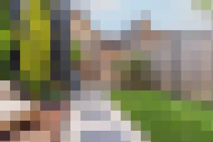 Magnoliaerf 37 Hoef en Haag thumbnail 34