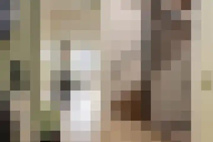 Magnoliaerf 62 Tilburg thumbnail 27