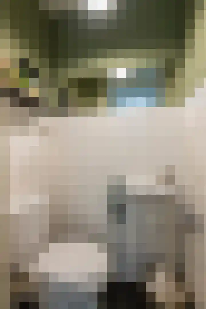 Magnoliaerf 62 Tilburg thumbnail 38