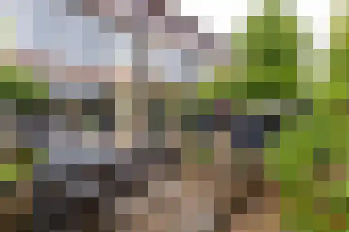 Magnoliaerf 62 Tilburg thumbnail 51