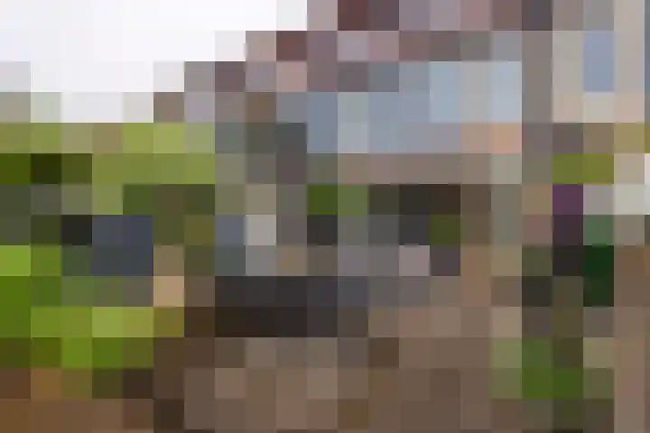 Magnoliaerf 62 Tilburg thumbnail 52