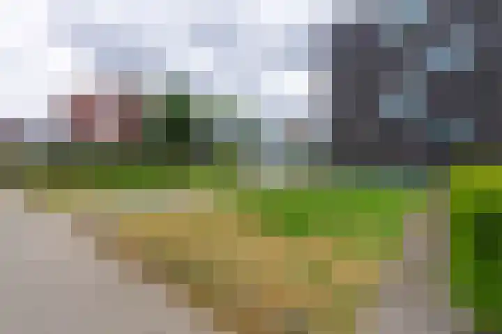 Magnoliaerf 62 Tilburg thumbnail 57