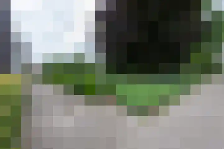 Magnoliaerf 62 Tilburg thumbnail 58