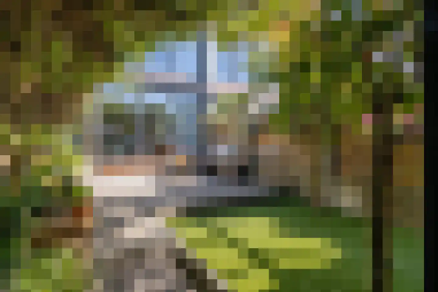 Magnoliaerf 64 Tilburg thumbnail 35
