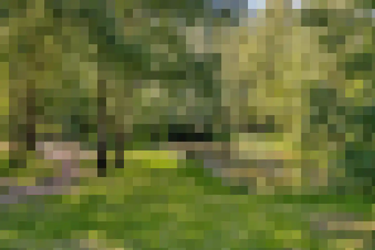 Magnoliaerf 64 Tilburg thumbnail 46