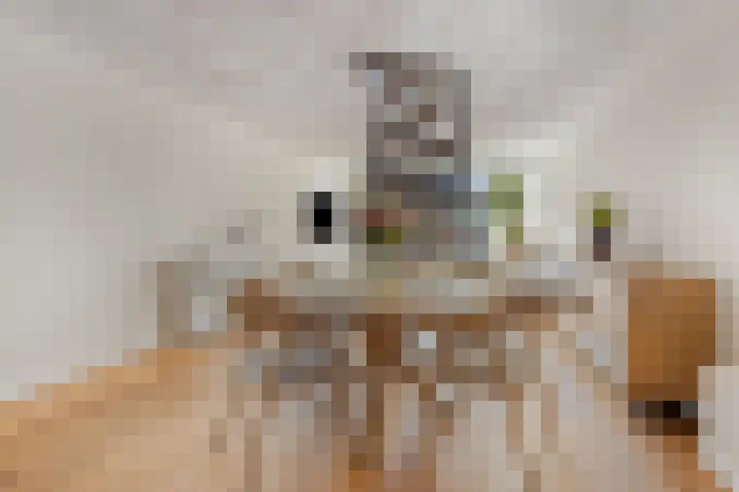 Magnoliaerf 72 Tilburg thumbnail 10