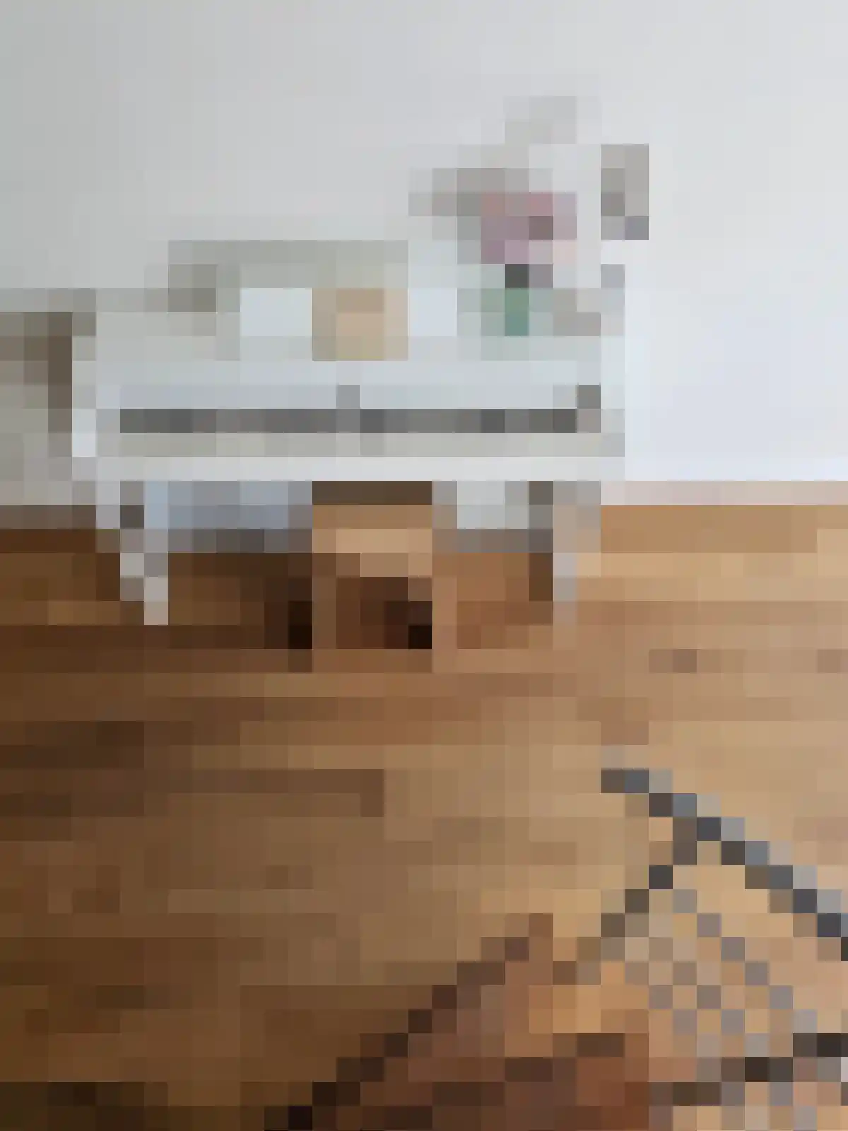 Magnoliaerf 72 Tilburg thumbnail 11