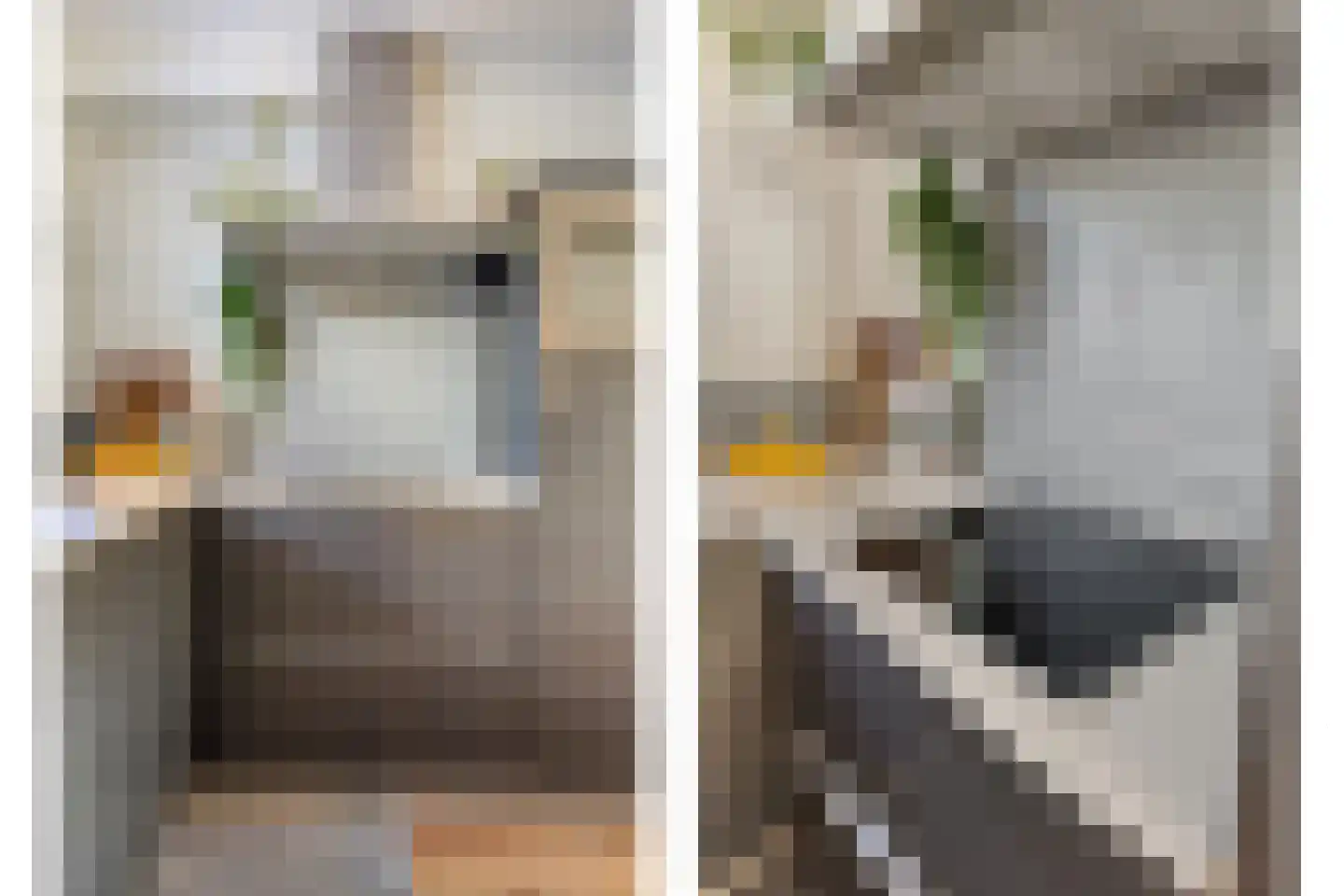 Magnoliaerf 72 Tilburg thumbnail 15