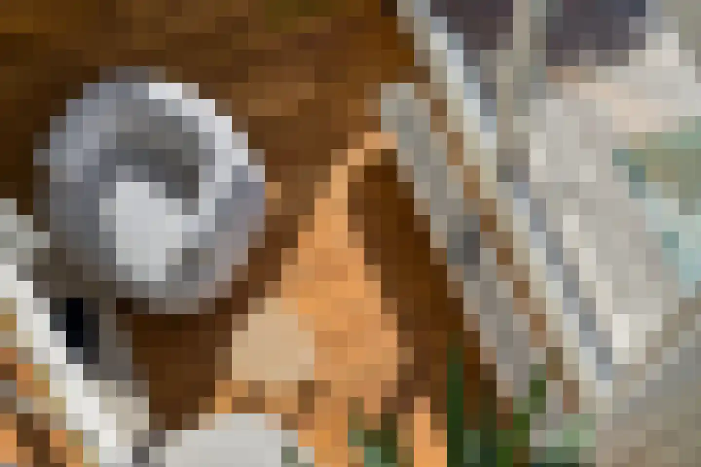 Magnoliaerf 72 Tilburg thumbnail 22