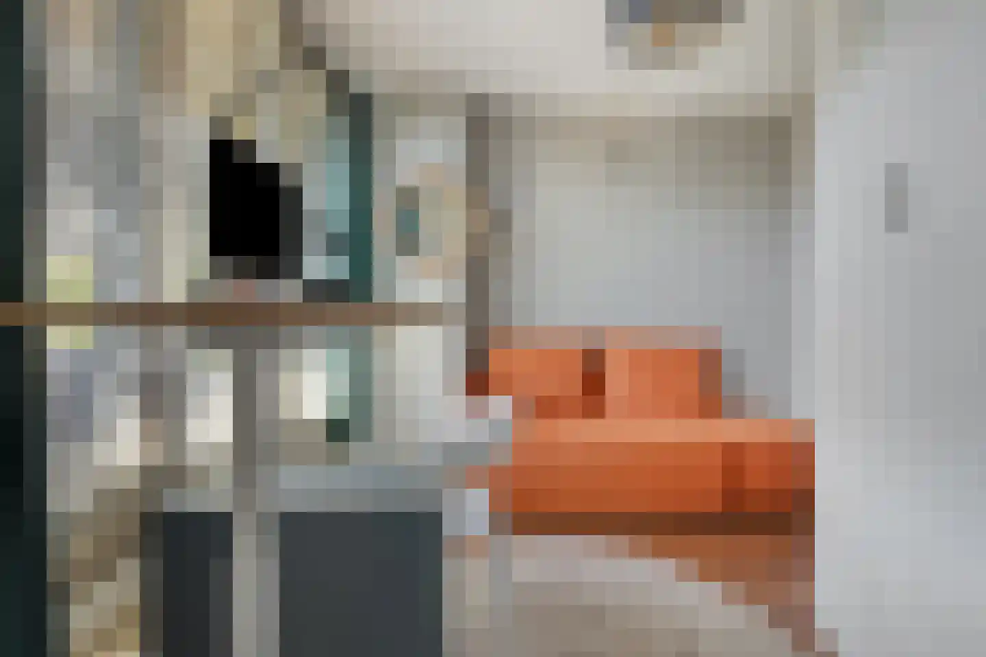 Magnoliaerf 72 Tilburg thumbnail 30