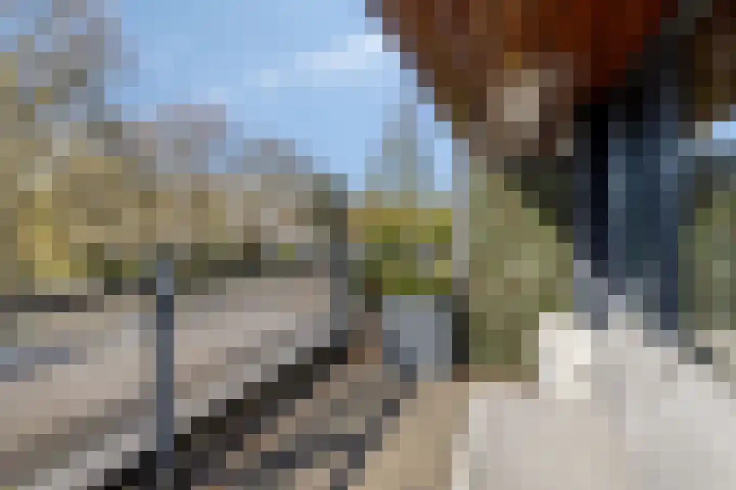 Magnoliaerf 72 Tilburg thumbnail 33
