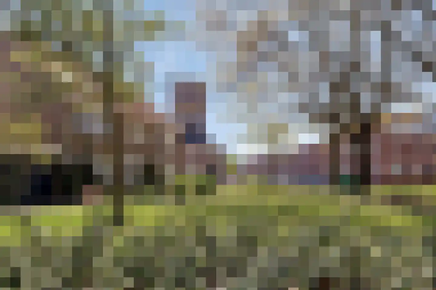 Magnoliaerf 72 Tilburg thumbnail 52