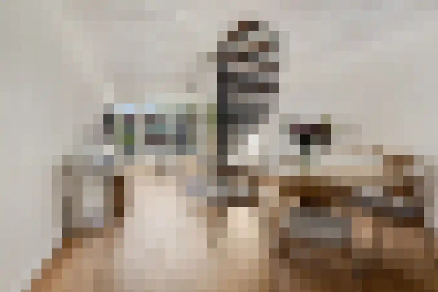 Magnoliaerf 72 Tilburg thumbnail 9