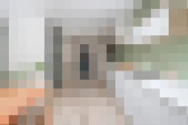 Magnoliahof 19 's-Hertogenbosch thumbnail 10