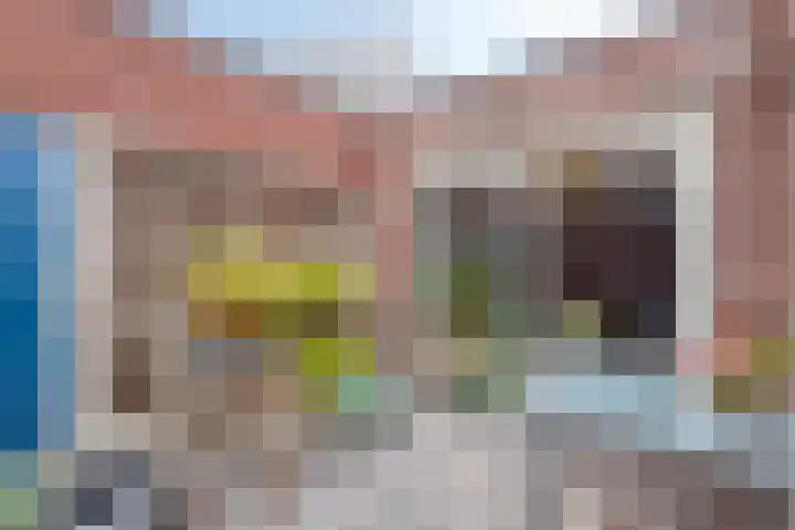 Magnoliahof 19 's-Hertogenbosch thumbnail 16