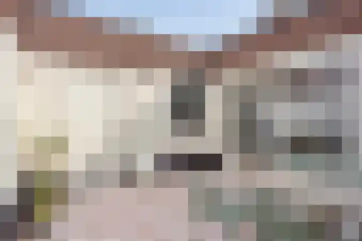 Magnoliahof 21 's-Hertogenbosch thumbnail 10