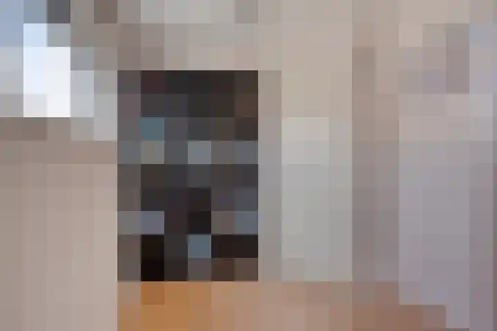Magnoliahof 21 's-Hertogenbosch thumbnail 20