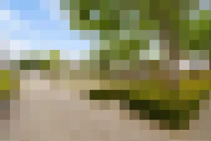 Magnoliahof 21 's-Hertogenbosch thumbnail 24